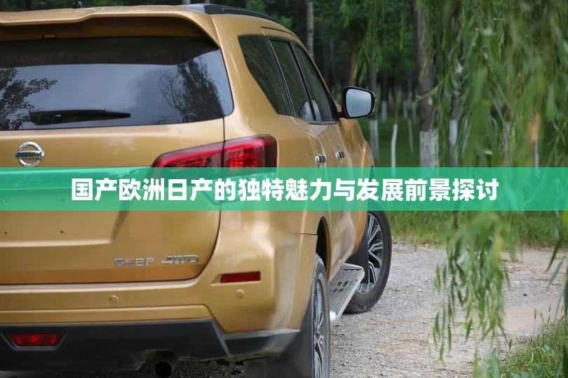 国产欧洲日产的独特魅力与发展前景探讨