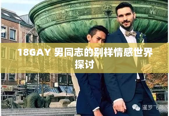 18GAY 男同志的别样情感世界探讨