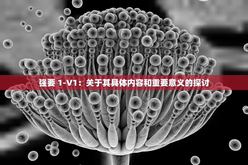 强要 1-V1：关于其具体内容和重要意义的探讨