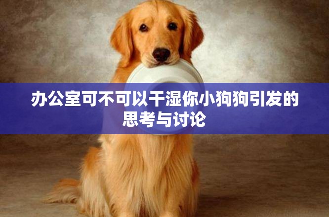 办公室可不可以干湿你小狗狗引发的思考与讨论
