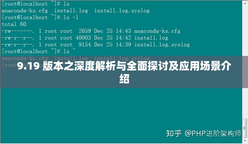 9.19 版本之深度解析与全面探讨及应用场景介绍