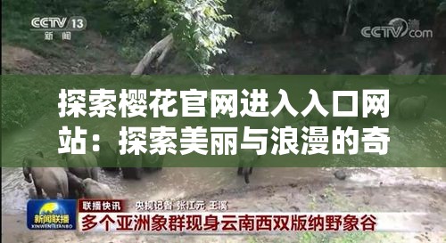 探索樱花官网进入入口网站：探索美丽与浪漫的奇幻世界