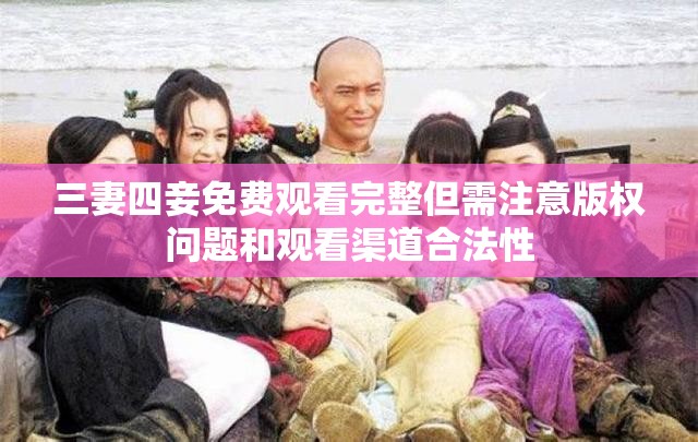 三妻四妾免费观看完整但需注意版权问题和观看渠道合法性
