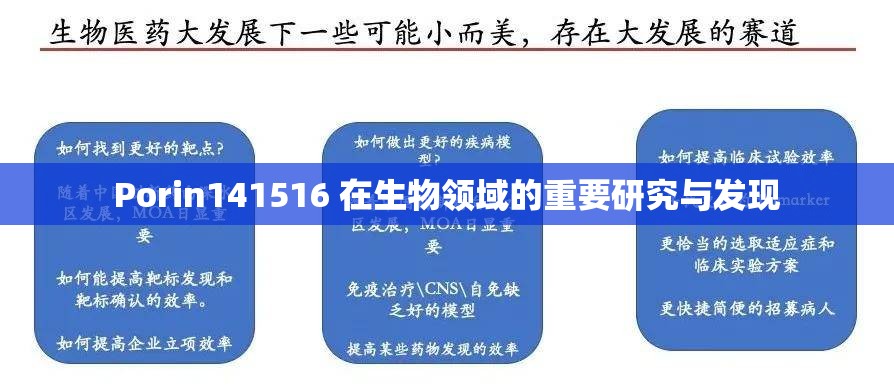 Porin141516 在生物领域的重要研究与发现