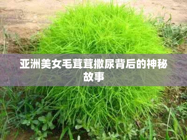 亚洲美女毛茸茸撒尿背后的神秘故事