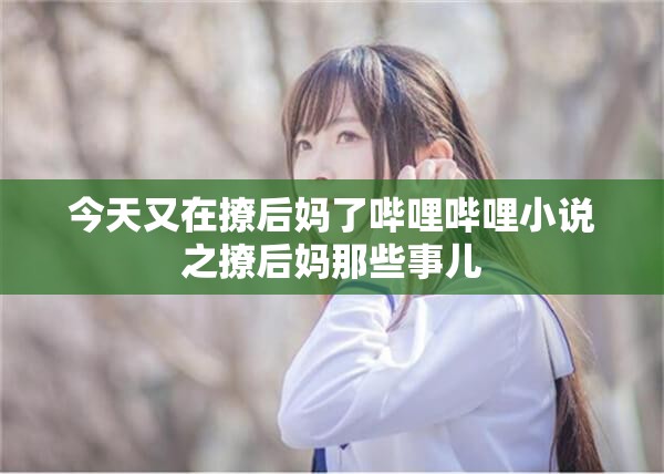 今天又在撩后妈了哔哩哔哩小说之撩后妈那些事儿