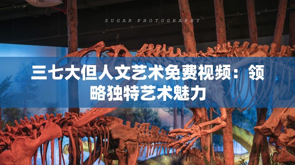 三七大但人文艺术免费视频：领略独特艺术魅力