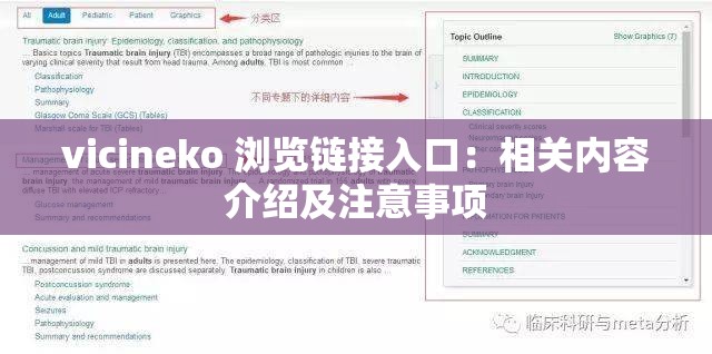 vicineko 浏览链接入口：相关内容介绍及注意事项