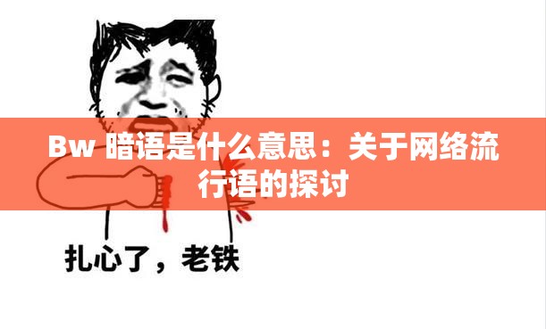 Bw 暗语是什么意思：关于网络流行语的探讨
