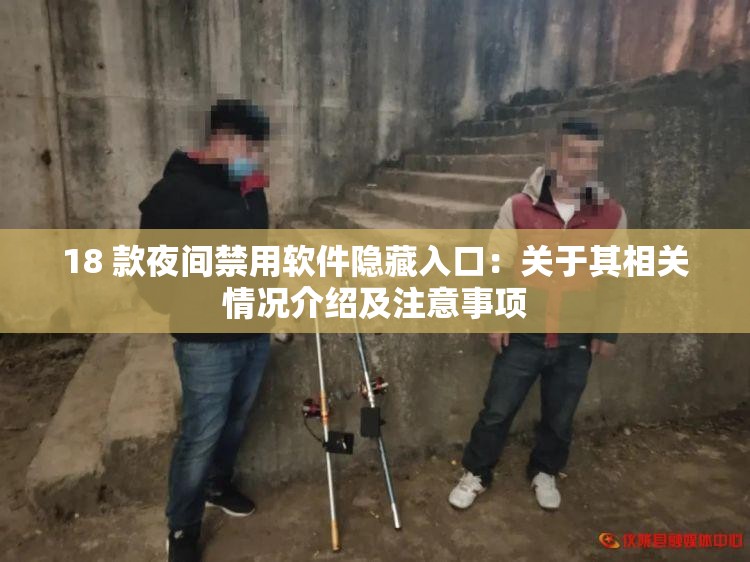 18 款夜间禁用软件隐藏入口：关于其相关情况介绍及注意事项