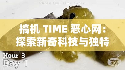 搞机 TIME 恶心网：探索新奇科技与独特体验