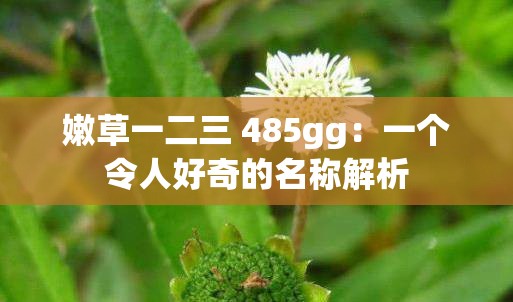 嫩草一二三 485gg：一个令人好奇的名称解析