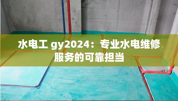水电工 gy2024：专业水电维修服务的可靠担当