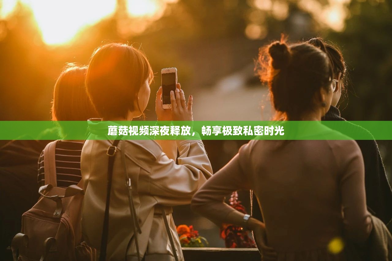 蘑菇视频深夜释放，畅享极致私密时光