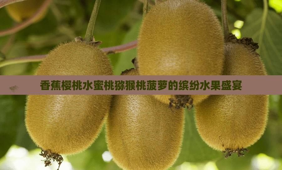 香蕉樱桃水蜜桃猕猴桃菠萝的缤纷水果盛宴