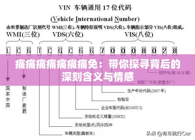 痛痛痛痛痛痛痛免：带你探寻背后的深刻含义与情感