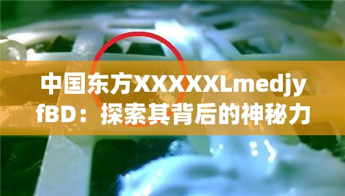 中国东方XXXXXLmedjyfBD：探索其背后的神秘力量与未知奥秘