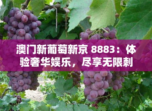澳门新葡萄新京 8883：体验奢华娱乐，尽享无限刺激