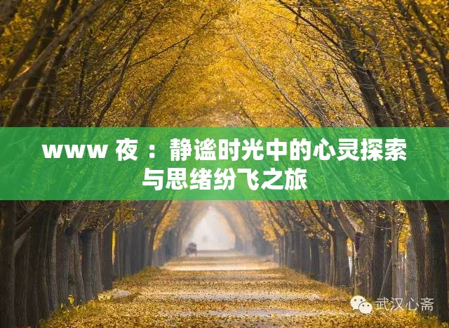 www 夜 ：静谧时光中的心灵探索与思绪纷飞之旅