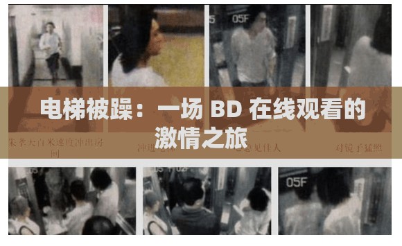 电梯被躁：一场 BD 在线观看的激情之旅