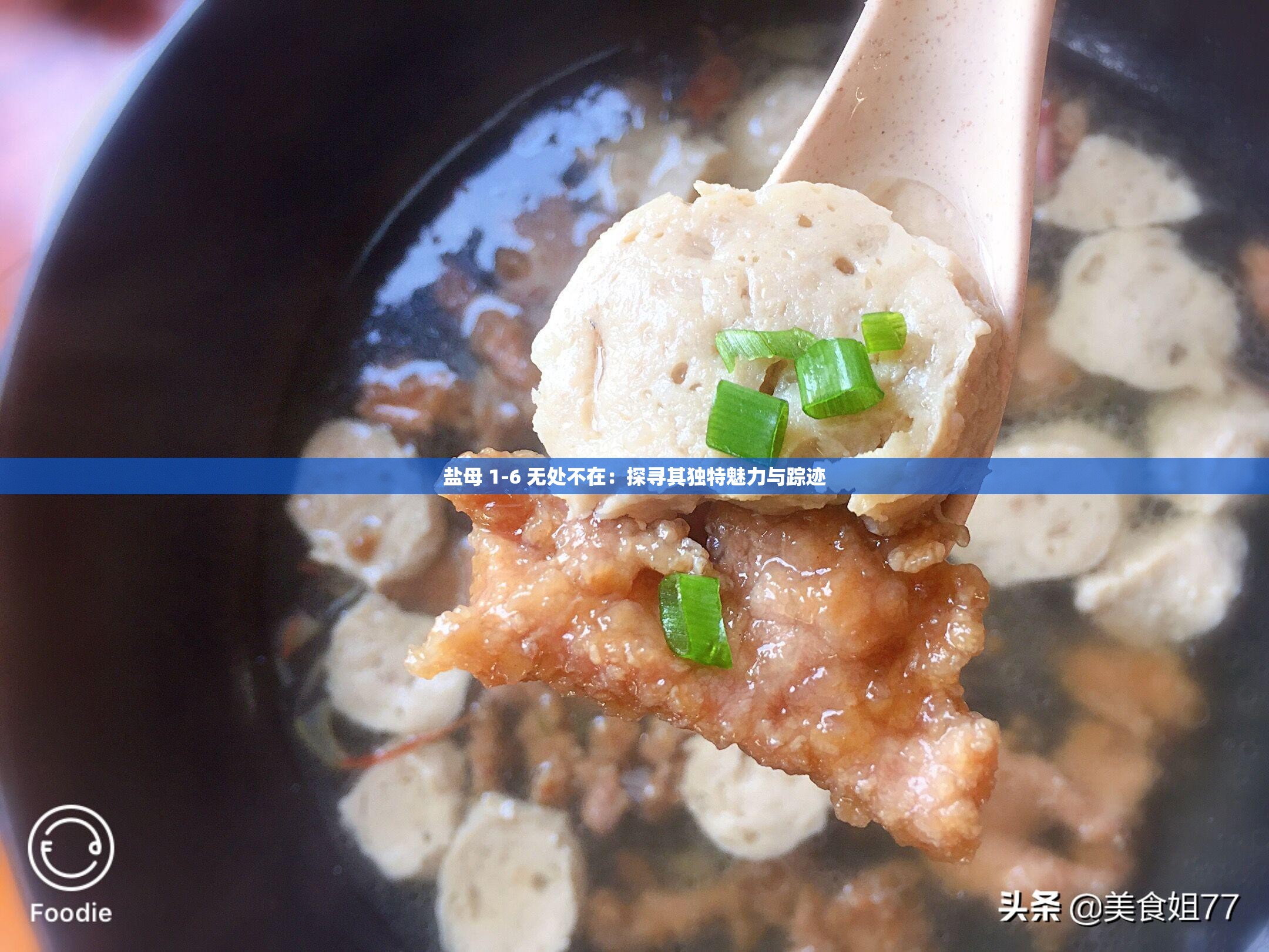 盐母 1-6 无处不在：探寻其独特魅力与踪迹