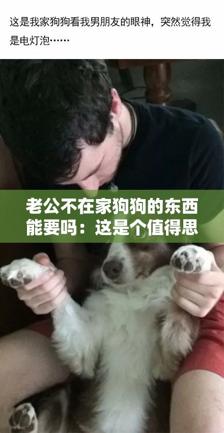 老公不在家狗狗的东西能要吗：这是个值得思考的问题