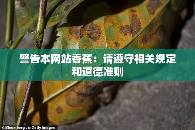 警告本网站香蕉：请遵守相关规定和道德准则