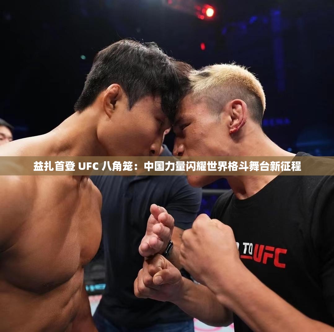 益扎首登 UFC 八角笼：中国力量闪耀世界格斗舞台新征程