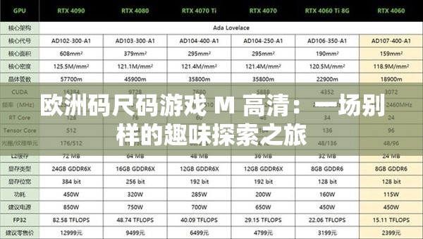 欧洲码尺码游戏 M 高清：一场别样的趣味探索之旅