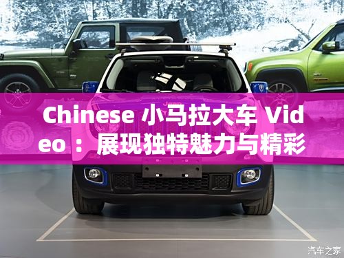 Chinese 小马拉大车 Video ：展现独特魅力与精彩瞬间