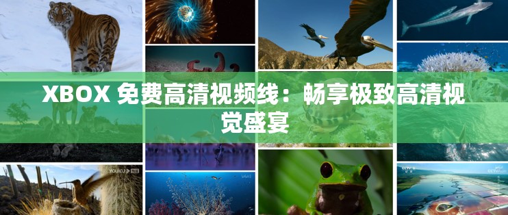 XBOX 免费高清视频线：畅享极致高清视觉盛宴