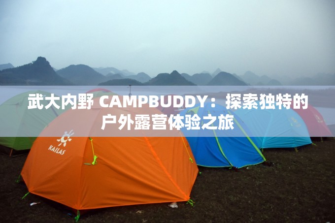 武大内野 CAMPBUDDY：探索独特的户外露营体验之旅