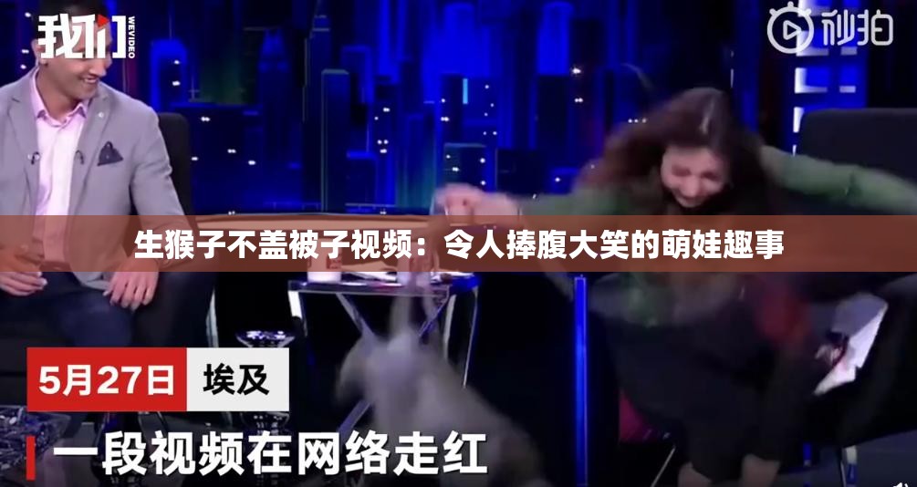 生猴子不盖被子视频：令人捧腹大笑的萌娃趣事