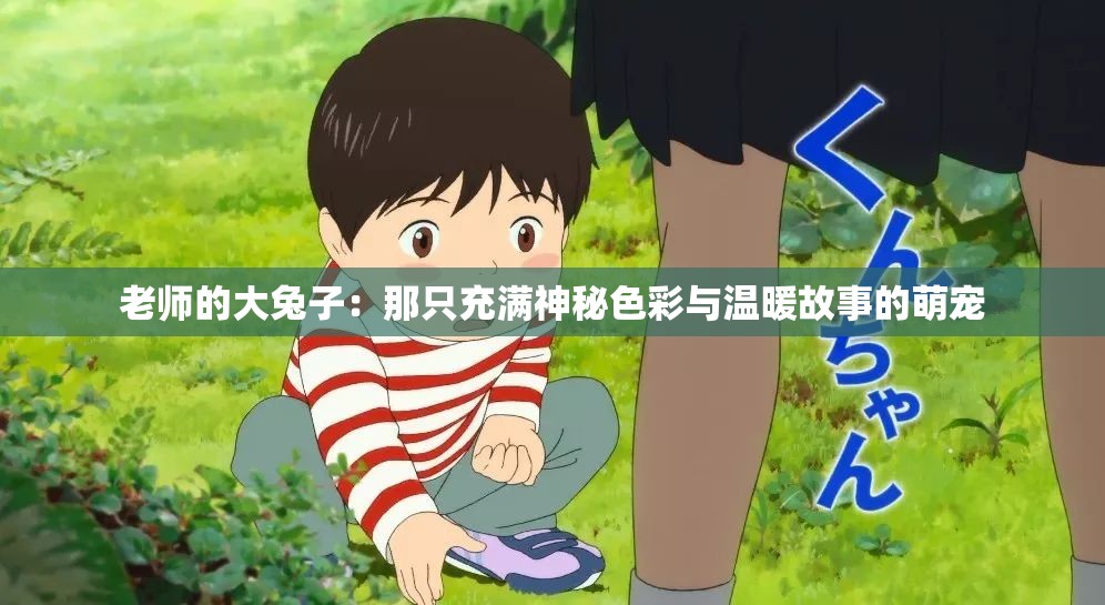 老师的大兔子：那只充满神秘色彩与温暖故事的萌宠