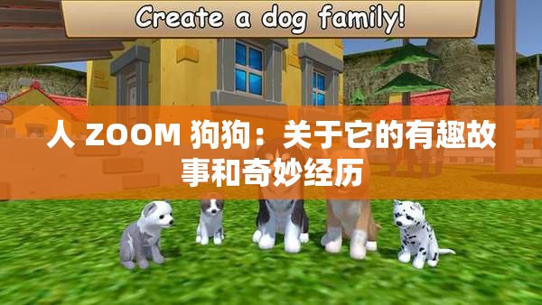 人 ZOOM 狗狗：关于它的有趣故事和奇妙经历