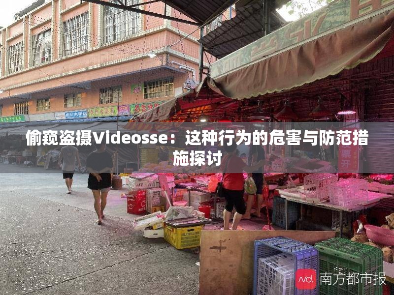 偷窥盗摄Videosse：这种行为的危害与防范措施探讨