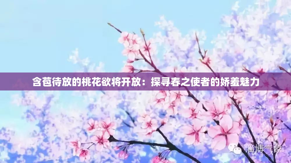 含苞待放的桃花欲将开放：探寻春之使者的娇羞魅力