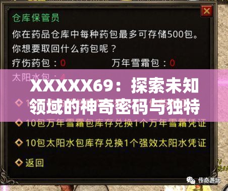 XXXXX69：探索未知领域的神奇密码与独特魅力