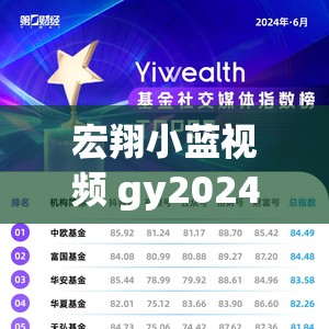 宏翔小蓝视频 gy2024 的评价 关于该视频的深入探讨与分析