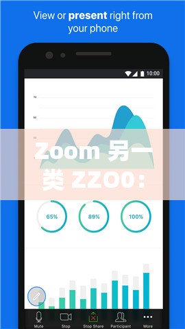 Zoom 另一类 ZZO0：探索其独特功能与应用场景