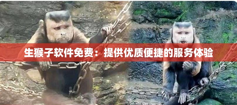 生猴子软件免费：提供优质便捷的服务体验