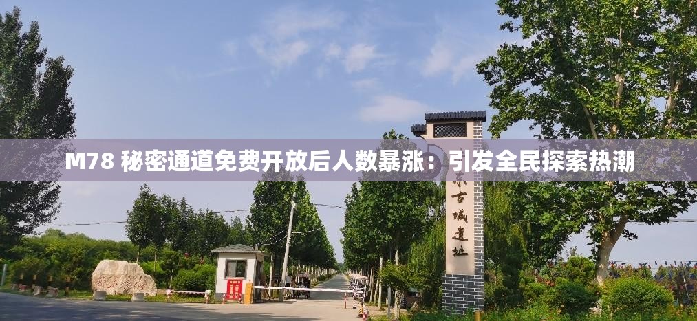 M78 秘密通道免费开放后人数暴涨：引发全民探索热潮
