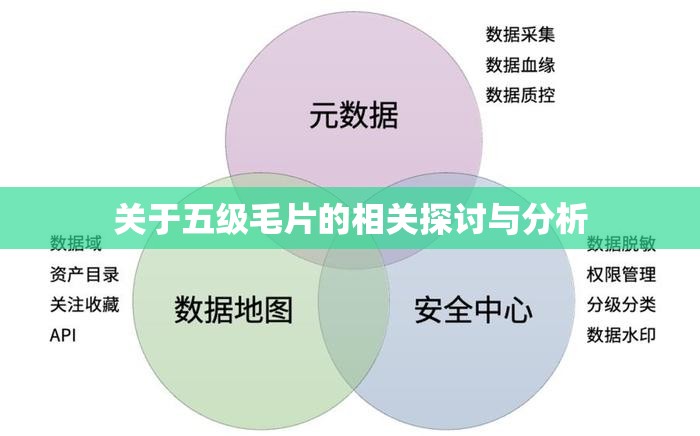 关于五级毛片的相关探讨与分析