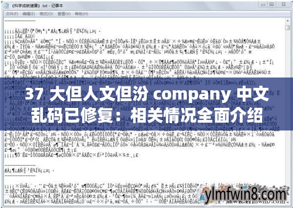 37 大但人文但汾 company 中文乱码已修复：相关情况全面介绍