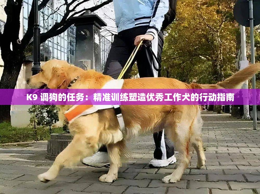 K9 调狗的任务：精准训练塑造优秀工作犬的行动指南