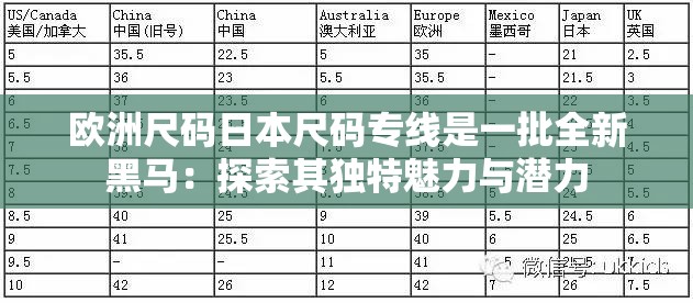 欧洲尺码日本尺码专线是一批全新黑马：探索其独特魅力与潜力