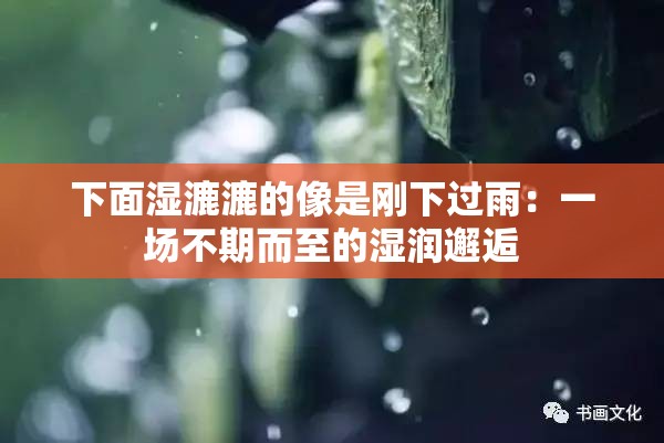 下面湿漉漉的像是刚下过雨：一场不期而至的湿润邂逅
