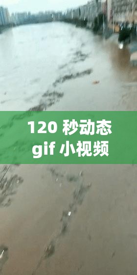 120 秒动态 gif 小视频：精彩瞬间的连续呈现之旅