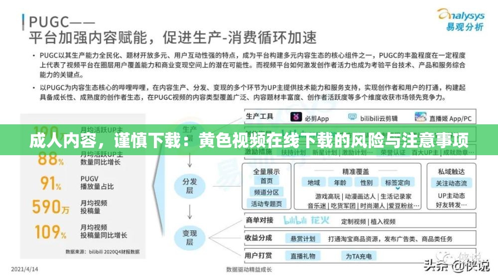 成人内容，谨慎下载：黄色视频在线下载的风险与注意事项
