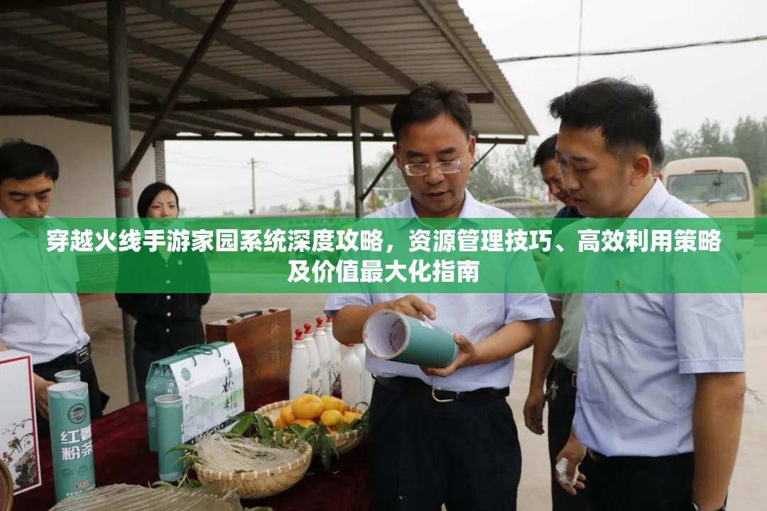 穿越火线手游家园系统深度攻略，资源管理技巧、高效利用策略及价值最大化指南